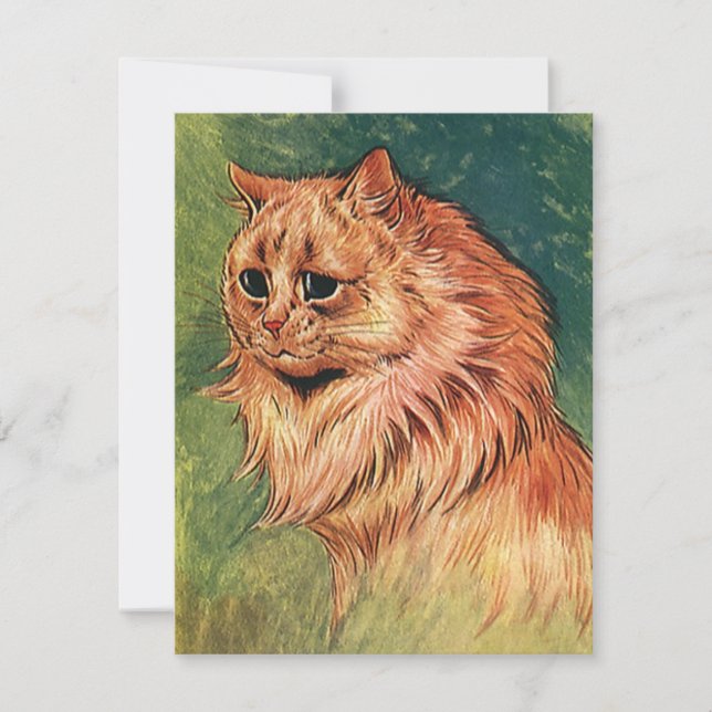 Vintage Haustiere, Orangenkatze mit langer Haare (Vorderseite)