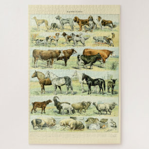 Vintage Haustiere von Adolphe Millot Puzzle