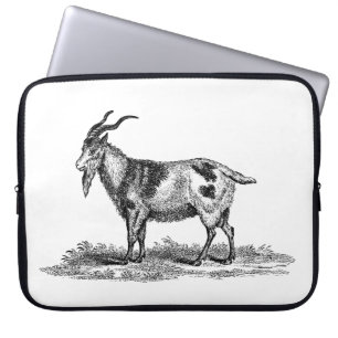 Vintage Hausziege-Illustration - Ziegen 1800's Laptopschutzhülle
