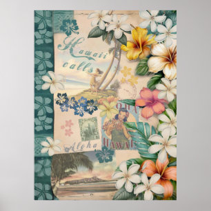 Vintage-Hawai-Scrapbook: Hawaii ruft Poster