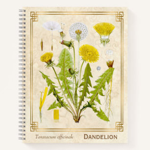 Vintage Heilkräuter-Löwenzahnblüten Botanical Notizbuch