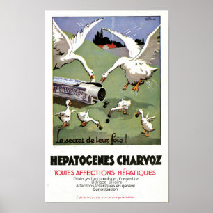 Vintage-Hepatogenes-Charvoz-Französisches Medizinp Poster