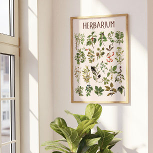 Vintage Herbarium Grünes Pflanzenchart Wandkunst Poster
