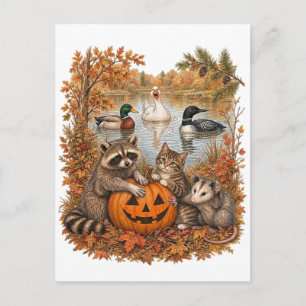 Vintage Herbstkatze Waschbär Stockente Eistaucher Postkarte