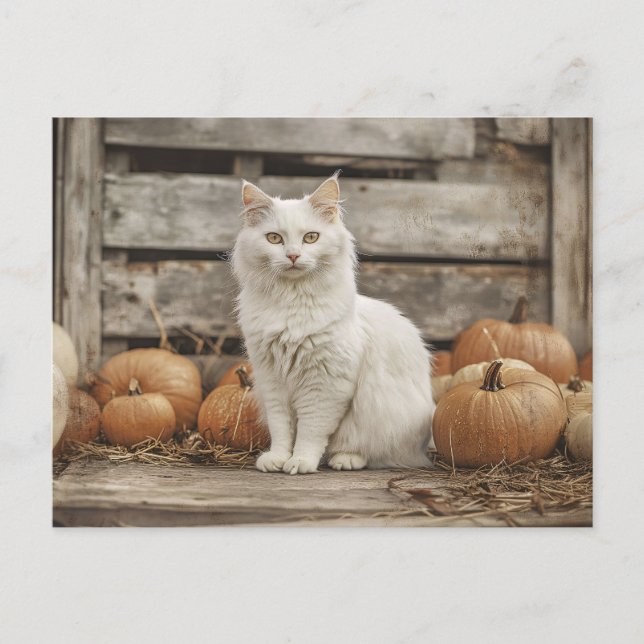 Vintage Herbstkürme der weißen Katze Postkarte (Vorderseite)