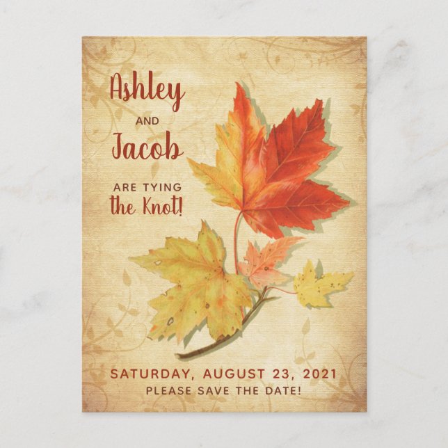 Vintage Herbstmaple-Blätter Hochzeitsfeiern Speich Postkarte (Vorderseite)