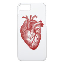 Vintage Herz-Anatomie