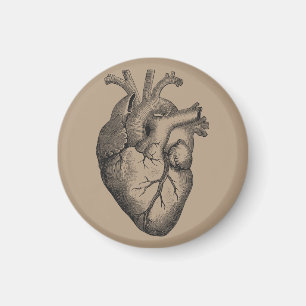 Vintage Herz-Illustration Magnet