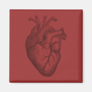 Vintage-Herzillustration Magnet