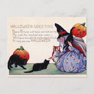 Vintage Hexenkatze Owl Halloween Postkarte