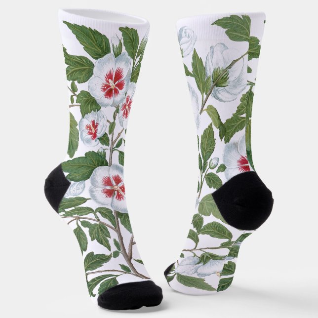 Vintage Hibiscus Flowers by Basilius Besler Socken (Gewinkelt)