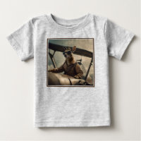 "Vintage Himmel: Kangaroo-Pilot im alten Flugzeug