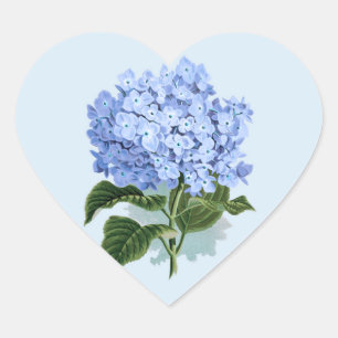 Vintage-Himmelblau-Hortensien-Blumenaufkleber Herz-Aufkleber