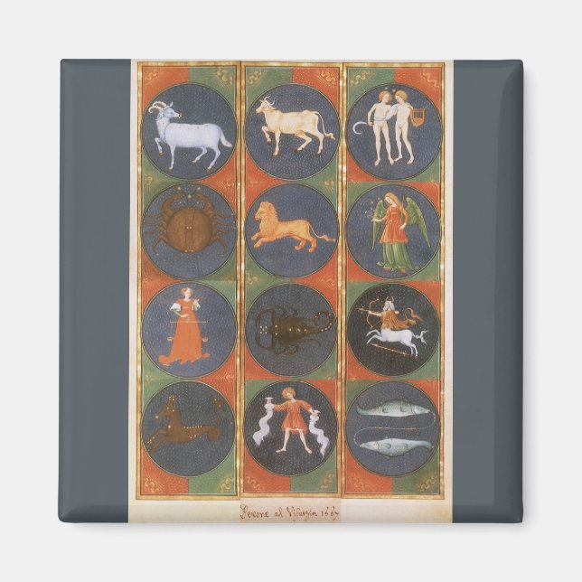 Vintage Himmelskarte, astrologische Zodiakarte, 14 Magnet (Vorne)