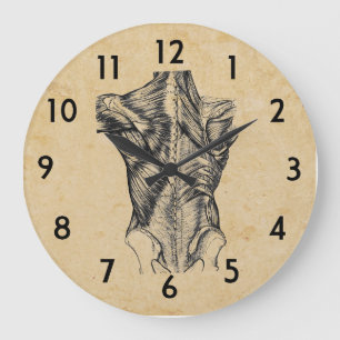Vintage hintere Anatomie Große Wanduhr