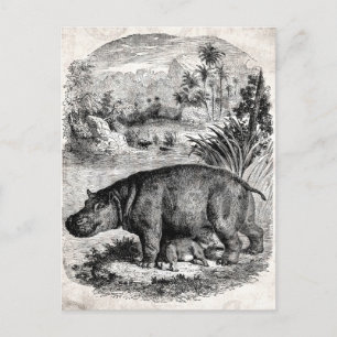 Vintage Hippo-Vorlage mit Retro Hippos-Vorlage für Postkarte