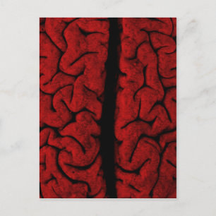 Vintage Hirnpostkarte Postkarte