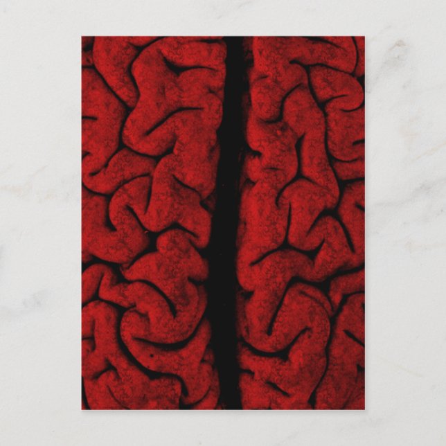 Vintage Hirnpostkarte Postkarte (Vorderseite)