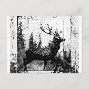Vintage-Hirsch Rotwild Schwarz Weiß Tier Postkarte