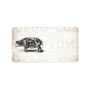 Vintage Hog Illustration auf altes Papier, 1800er Adressaufkleber