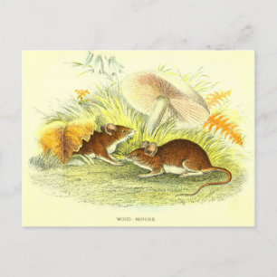 Vintage-Holzschnitt-Postkarte der Waldmaus Postkarte