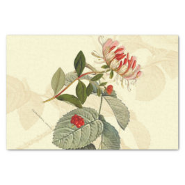 Vintage Honeysuckle Seidenpapier