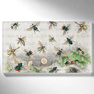 Vintage-Honigbiene- Königin-Biene-Entomologie-Bota Namenschild