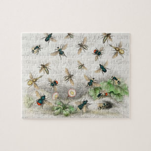 Vintage-Honigbiene- Königin-Biene-Entomologie-Bota Puzzle