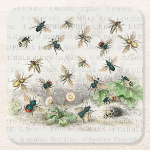 Vintage-Honigbiene- Königin-Biene-Entomologie-Bota Rechteckiger Pappuntersetzer