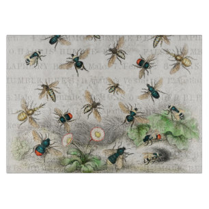 Vintage-Honigbiene- Königin-Biene-Entomologie-Bota Schneidebrett