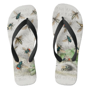 Vintage Honigbiene Königin Biene Entomologie Botan Flip Flops