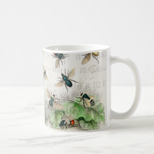 Vintage Honigbiene Königin Biene Entomologie Botan Kaffeetasse