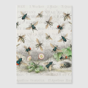 Vintage Honigbiene Königin Bienen Entomologie Bota Magnetkarte