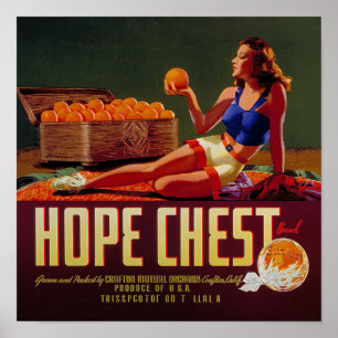 Vintage Hope Chest Marken Orangen Frucht Etikett Poster