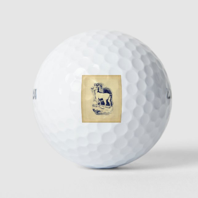 VINTAGE HORNSCHAFE GOLFBALL (Vorderseite)