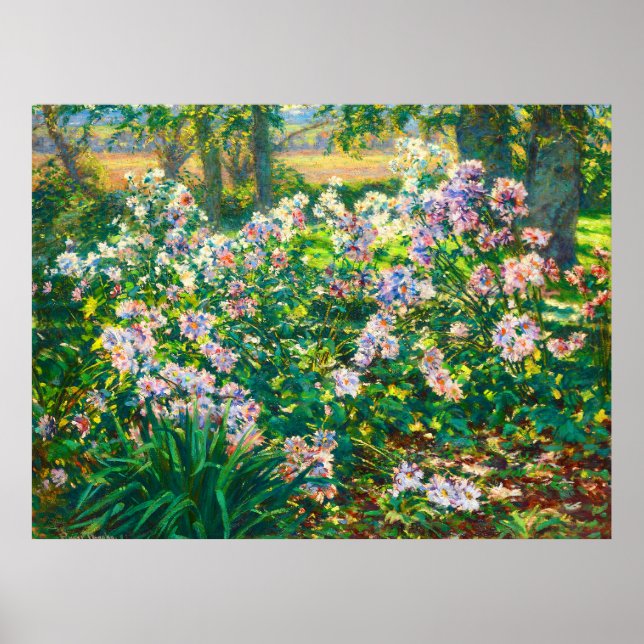 Vintage hübsche Blume Windblumenillustrierung Poster (Vorne)