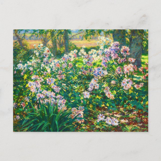 Vintage hübsche Blume Windblumenillustrierung Postkarte (Vorderseite)