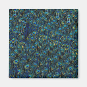 Vintage hübsche Pfau-Vogel-Feder-Tapete Magnet