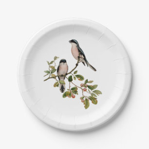 Vintage Hübsche Vögel auf einer Zweigniederlassung Pappteller