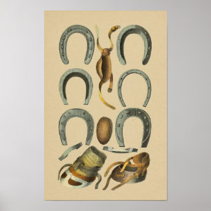 Vintage-Hufschmied Pferdehuf 1898 Druck Poster