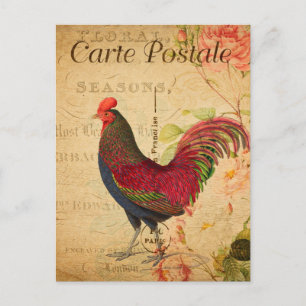 Vintage-Huhn-Henne-Hahn-Illustration Französisch Postkarte