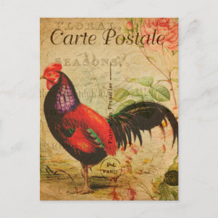 Vintage-Huhn-Henne-Hahn-Illustration Französisch Postkarte
