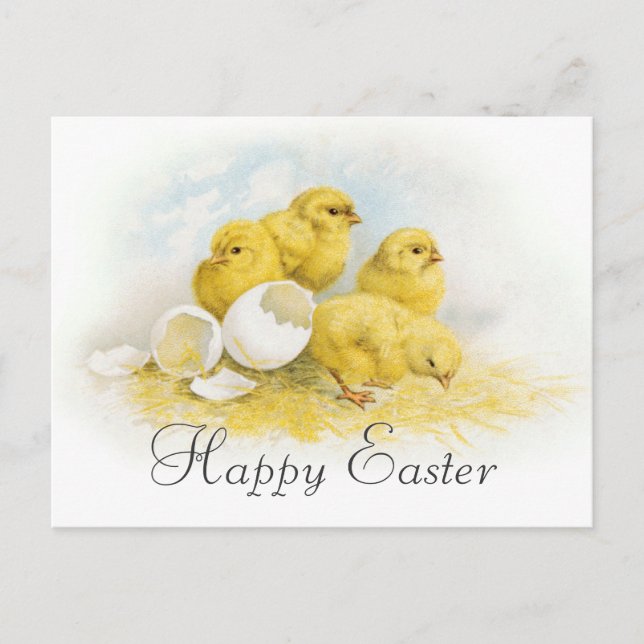 Vintage Hühner Feiertagspostkarte (Vorderseite)