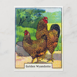 Vintage HühnerPrint Postkarte