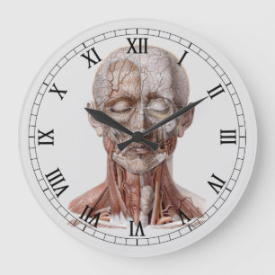 Vintage Humananatomie Wissenschaft, Kopf Kehle Nas Große Wanduhr
