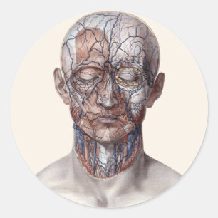 Vintage Humananatomie Wissenschaft, Kopf Kehle Nas Runder Aufkleber