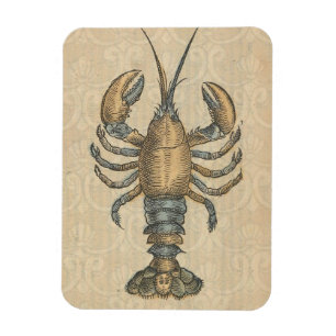 Vintage-Hummer-Illustration: Küsten-Damaskus Magnet