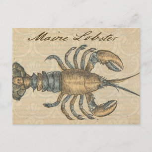 Vintage-Hummer-Illustration: Küsten-Damaskus Postkarte