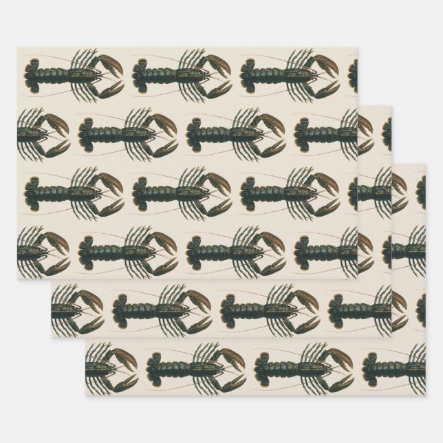 Vintage Hummer, marines Leben Geschenkpapier Set (Set)