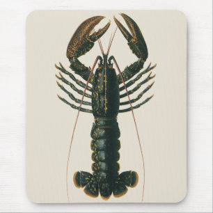 Vintage Hummer, marines Leben Mousepad